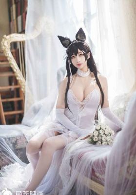 不要了高h_蓝光在线观看完整版