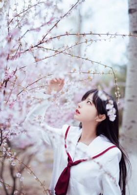 正阳门下小女人免费观看电视剧_1080P高清视频播放
